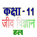 कक्षा 11 जीव विज्ञान (Biology) APK