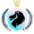 ”RD Tunnel : Fast Vpn Net
