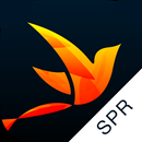 Recovery Path Sponsors/Mentors aplikacja