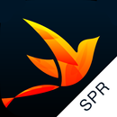 Recovery Path Sponsors/Mentors APK