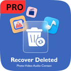 All Recovery : Photo-Video Pro icône