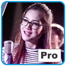 BAHENOL Pro: Dangdut Streaming & Download APK