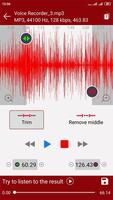 voice recorder - pro recorder স্ক্রিনশট 3