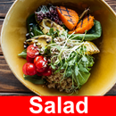 Salad Recipe offline APK