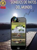 Reclamo llamada patos Poster