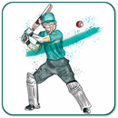 Hand Cricket Game : Unlimited Fun APK