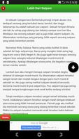 Kumpulan Cerita Inspiratif 截图 1