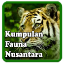 Kumpulan Fauna Nusantara APK