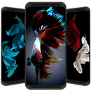 Betta Fish Wallpaper HD APK