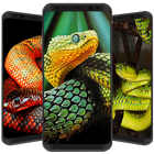 Cute Snake Wallpaper HD simgesi