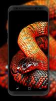 Cute Snake Wallpaper HD 截图 3