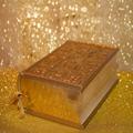 Amharic Bible