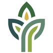 Cypress Green Life أيقونة