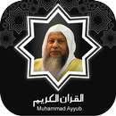 Quran MP3 Muhammad Ayyub APK