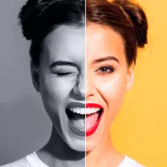 Colorize it - 黒と白の写真を色付けする アプリダウンロード