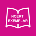 NCERT Exemplar - 10th Class
