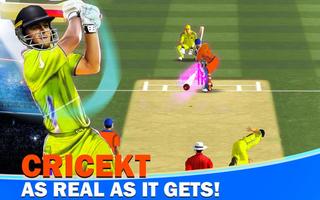 3D Live Cricket & Cricket Game ảnh chụp màn hình 1
