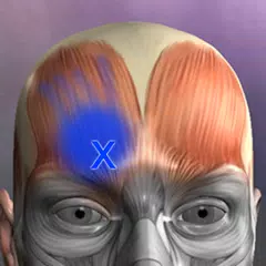 Baixar Muscle Trigger Point Anatomy APK