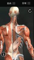 肌肉触发点剖析 截图 2