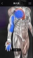 肌肉触发点剖析 截图 3
