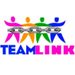 TeamLink icon