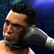 Real Punch Boxing Game 2019 : Fighting Star 3D