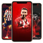 Los Rojiblancos Wallpaper biểu tượng