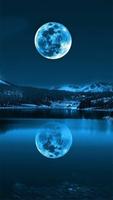 Blue Moon Wallpaper Affiche