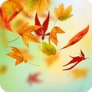 🍂 Falling leaves wallpaper 🍂 APK