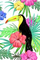 Amazing Toucan Wallpaper plakat
