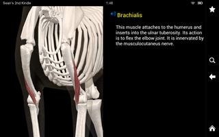 Dog Anatomy: Canine 3D imagem de tela 2