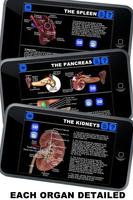 Anatomy 3D: Organs poster