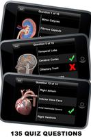 Anatomy 3D: Organs تصوير الشاشة 3