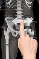 Skeletal Anatomy 3D स्क्रीनशॉट 1