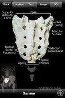 Skeletal Anatomy 3D captura de pantalla 3