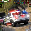 Real City Police Car Chase