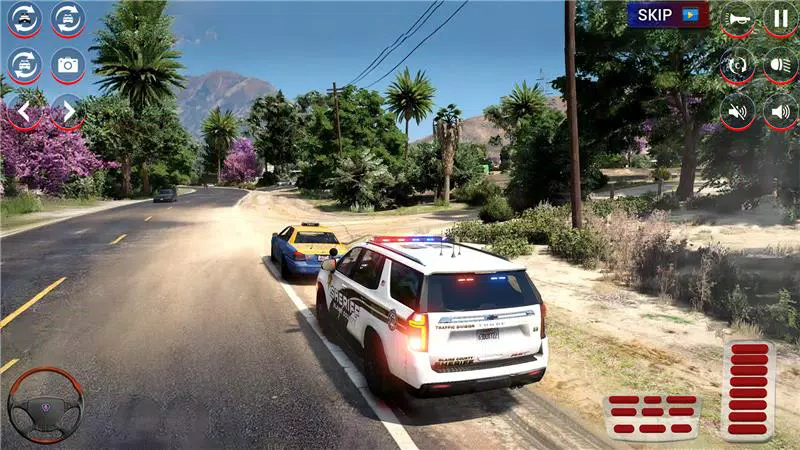 Real City Police Car Chase