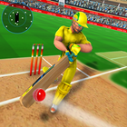 Cricket World Cup 2020 - Real T20 Cricket Game-icoon