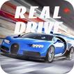 ”Real Drive Sim