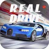 Real Drive Sim