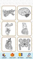Anatomy Coloring Book Affiche