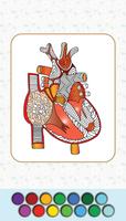 Anatomy Coloring Book screenshot 3