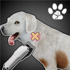 Animal Shelter Simulator Pro icono