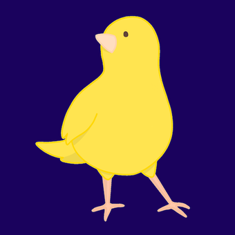 Canary animation Canary animation