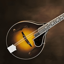 Mandolin Instrument APK