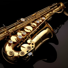 Saxophone Instrument ไอคอน