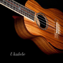 Ukulele Instrument APK