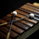Xylophone Instrument APK
