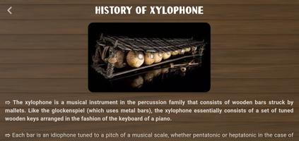 Xylophone Instrument 截圖 3