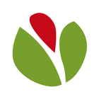 Green-Acres icône